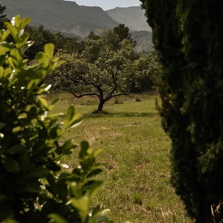 Bed & Breakfast Casa Ostara 3*