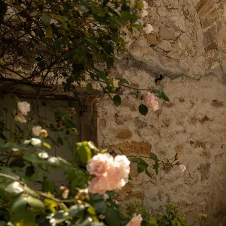 Casa Ostara